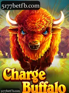 Exploração Completa da ChargeBuffalo na 5177bet: Cassino, Slots, Apostas Esportivas e Mais